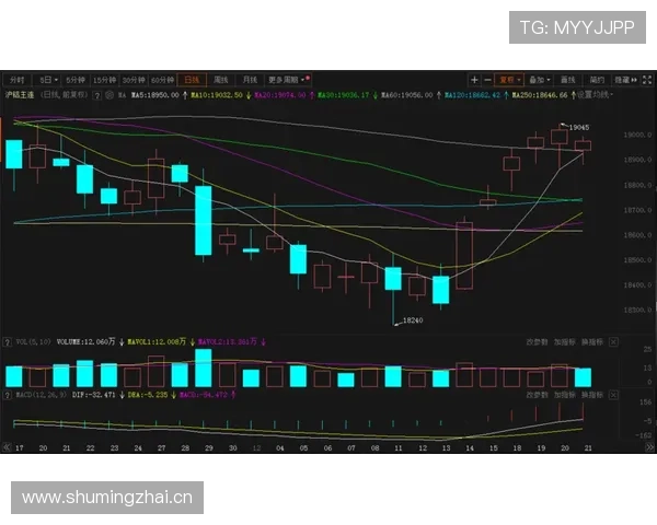 多特防线稳定性承压：近期表现波动对赛季走势形成制约